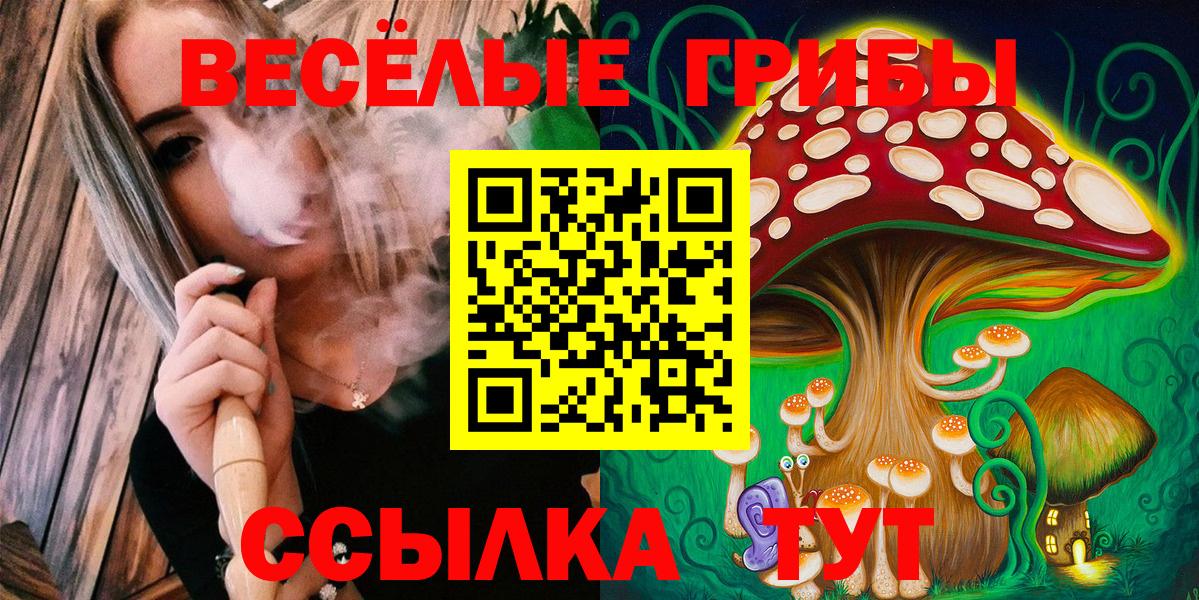Псилоцибиновые грибы Cubensis Ишимбай