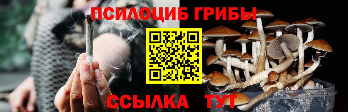 Галлюциногенные грибы Psilocybine cubensis  Вход с VPN  Псилоцибиновые грибы мухоморы  Ишимбай 